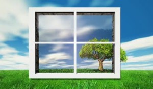 depositphotos_35831793-Trees-and-nature-through-the-window