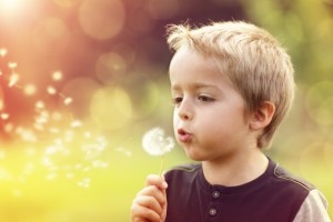 Boy with Dandelion