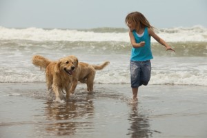 Girl and dogs on beach